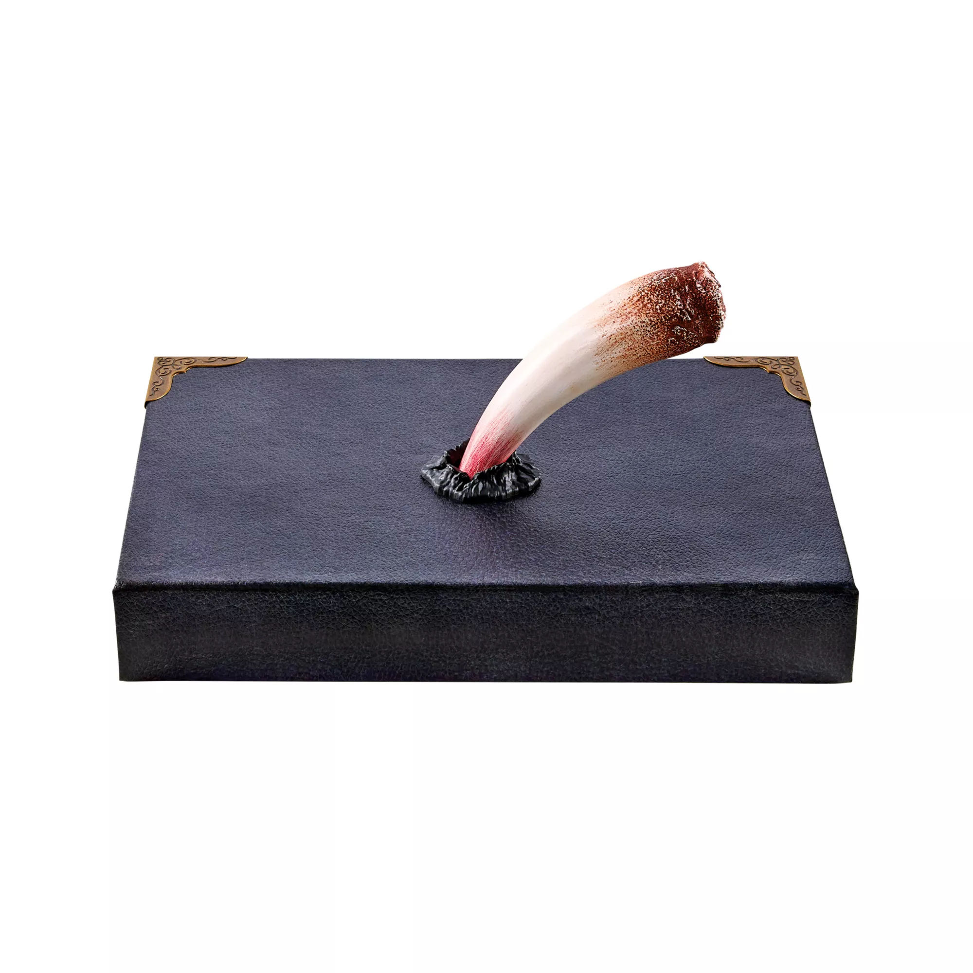 Tom Riddle's Diary Book Box - Harry Potter