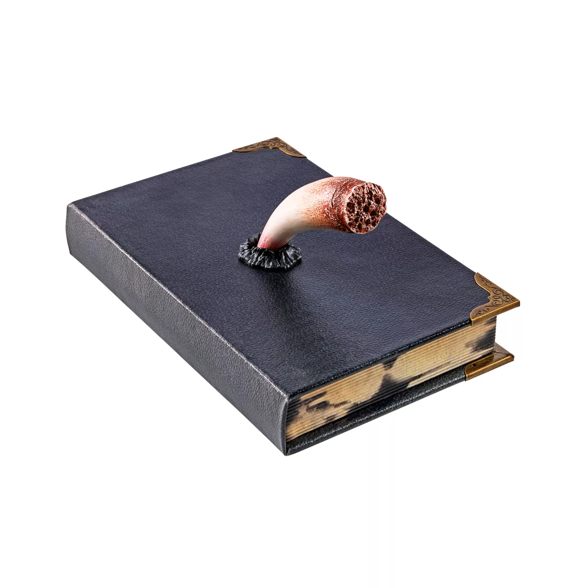 Tom Riddle's Diary Book Box - Harry Potter