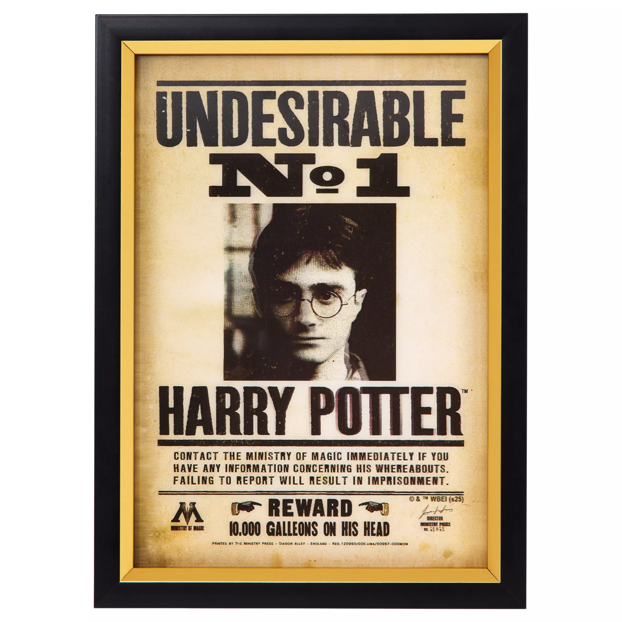 Harry Potter Wanted Mugshot Sign