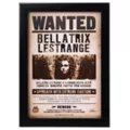 Bellatrix Lestrange Mugshot Sign - Harry Potter at Spirit Halloween