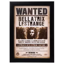 Bellatrix Lestrange Mugshot Sign - Harry Potter at Spirit Halloween