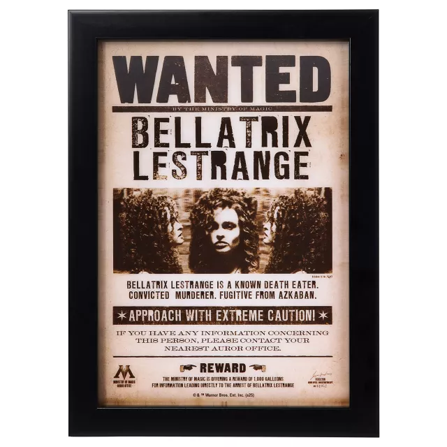 Bellatrix Lestrange Mugshot Sign - Harry Potter at Spirit Halloween