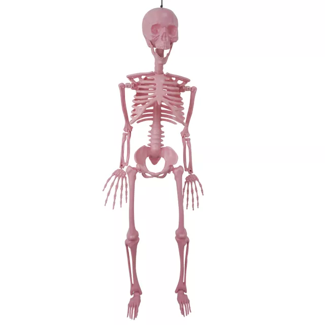 Pink Skeleton - 36 Inches at Spirit Halloween