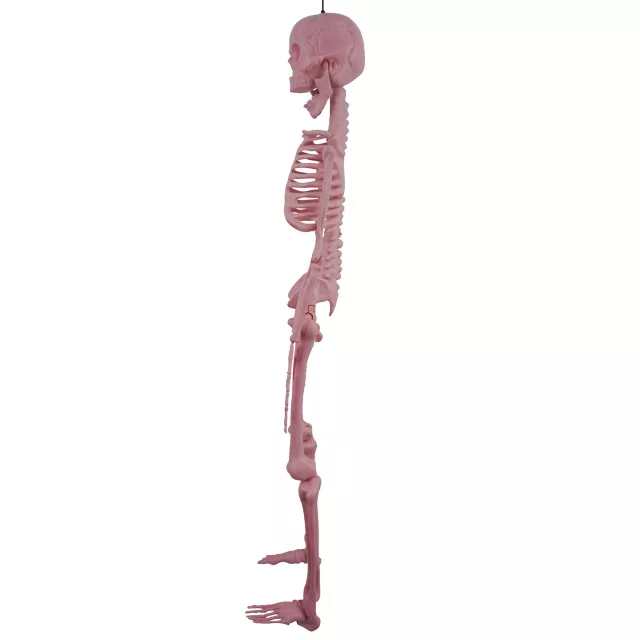Pink Skeleton - 36 Inches at Spirit Halloween