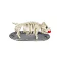 Skeleton Pig on a Platter at Spencer's