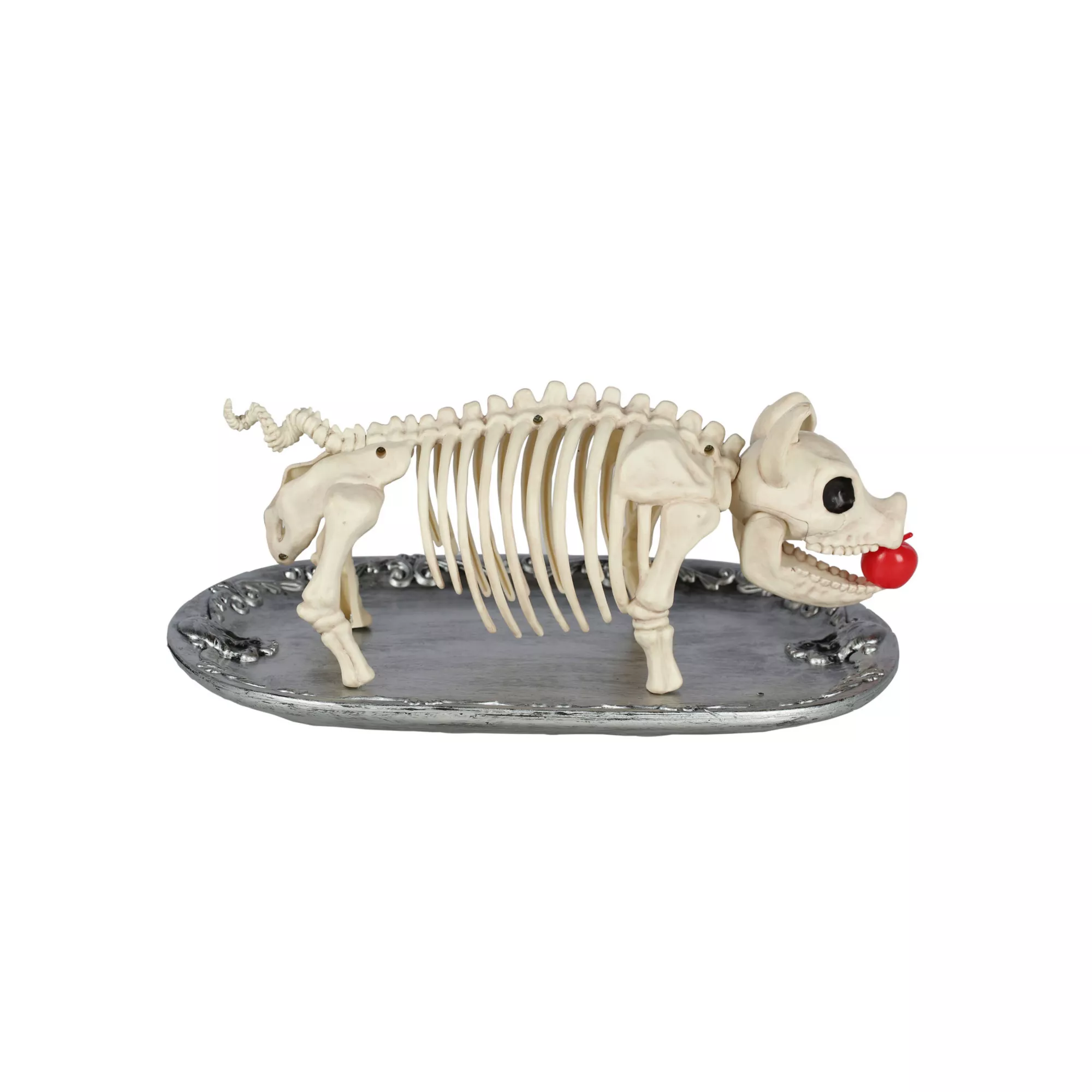 Skeleton Pig on a Platter
