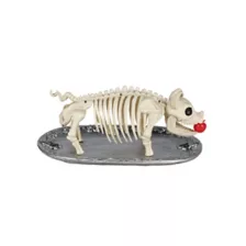Skeleton Pig on a Platter at Spencer's