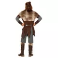 Adult Viking King Costume at Spirit Halloween