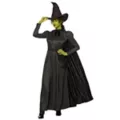 Adult Elphaba Costume -  Wicked at Spencer's