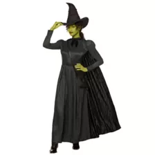 Adult Elphaba Costume -  Wicked at Spencer's