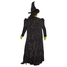 Adult Elphaba Costume -  Wicked at Spencer's