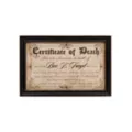 Doll Death Certificate Sign at Spencer's