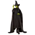 Adult Elphaba Cape -  Wicked at Spencer's