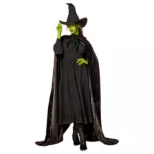 Adult Elphaba Cape -  Wicked at Spencer's