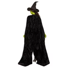 Adult Elphaba Cape -  Wicked at Spencer's