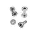 CZ Tunnel Plugs at Spencer's