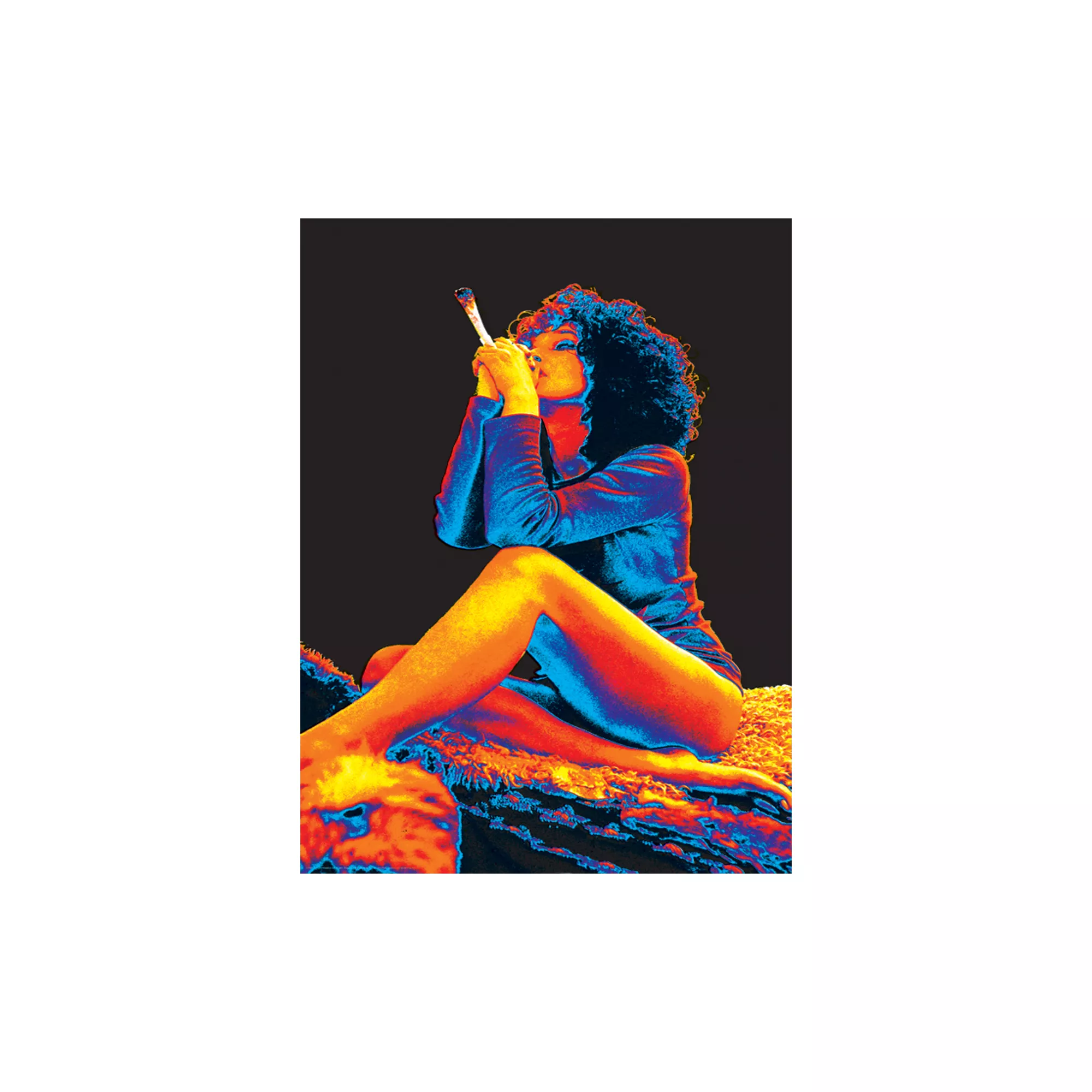 Black Light 2565 Joint Poster at Spencer's