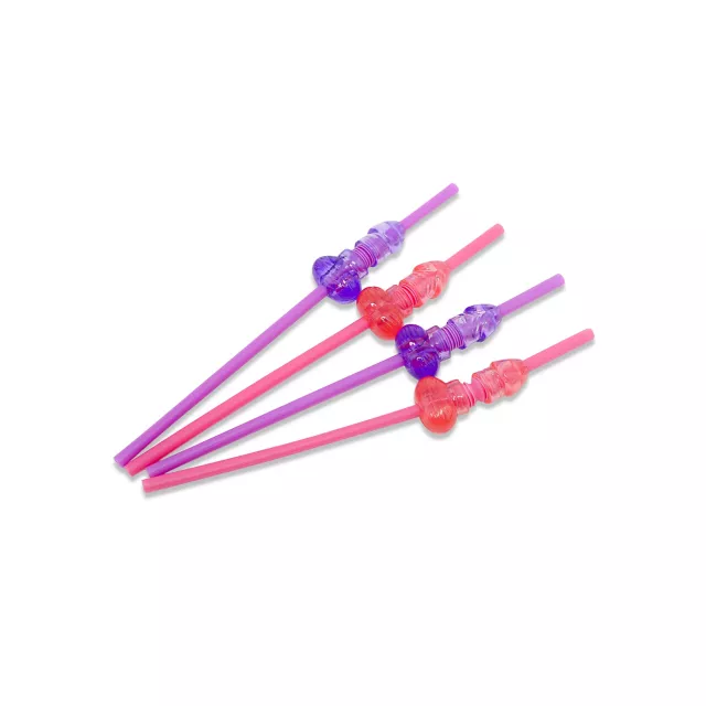 Bendable Dicky Straw - 4 Pack at Spencer's