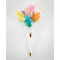 Lollipop Penis Candy Bouquet at Spencer's