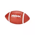 Fantasy Football Stroker at Spencer's