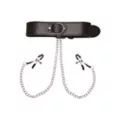 Collar with Nipple Clamps - Pleasure Bound at Spencer's