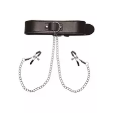 Collar with Nipple Clamps - Pleasure Bound at Spencer's