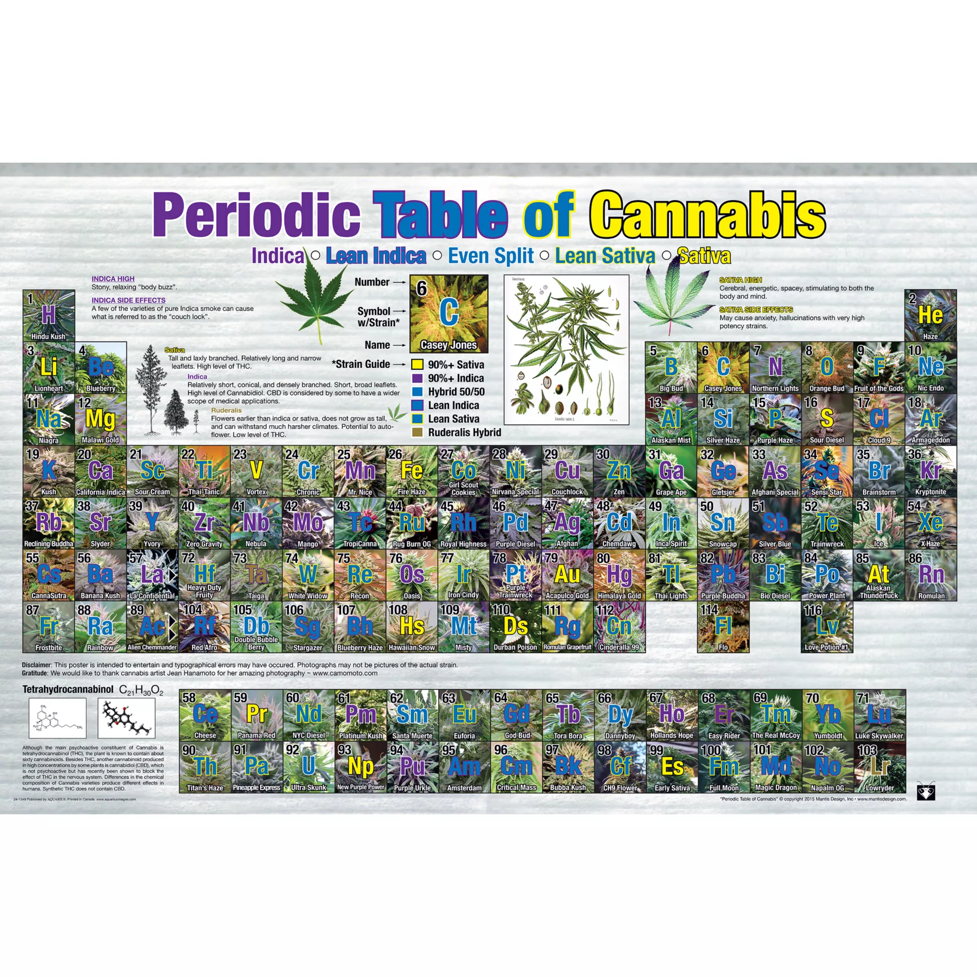 Periodic Table of Cannabis Poster at Spencer's