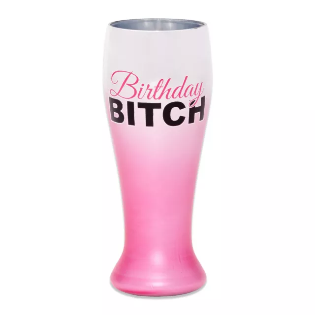 Birthday Bitch Pilsner Shot Glass - 1.5 oz. at Spencer's