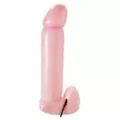 Inflatable Willy With Marker at Spencer's