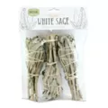 Mini Sage - 3 Pack at Spencer's