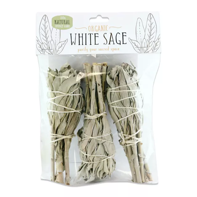 Mini Sage - 3 Pack at Spencer's