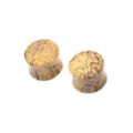 Wood Plugs at Spencer's