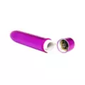 Precious Metal 10-Function Waterproof Bullet Vibrator 4 Inch Purple - Hott Love at Spencer's