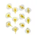 Square CZ Earrings - 6 Pair at Spencer's