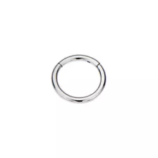 Silvertone Hinged Hoop Earring at Spencer's