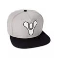 Chrome Weld Logo Destiny Snapback Hat at Spencer's