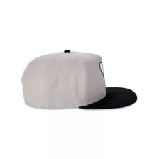 Chrome Weld Logo Destiny Snapback Hat at Spencer's
