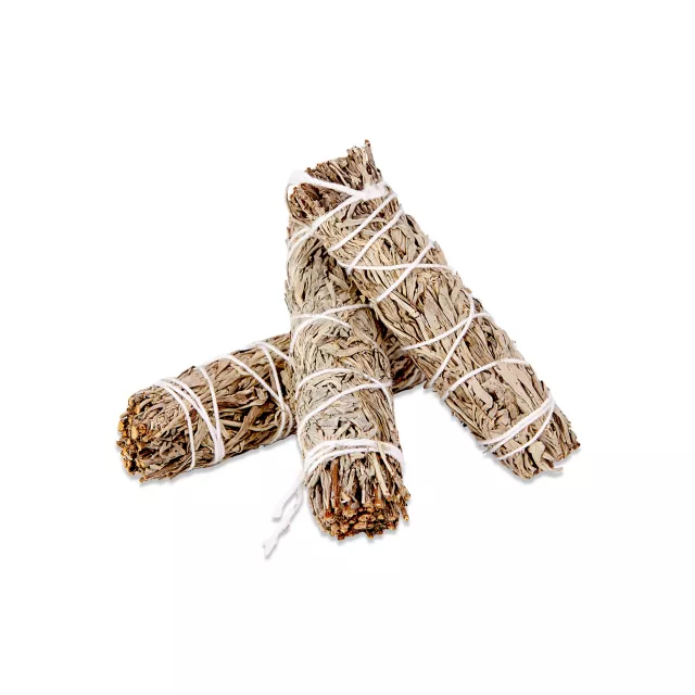 Mini Blue Sage - 3 Pack at Spencer's