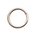 Rose Goldplated Seamless Ring - 16 Gauge at Spencer's