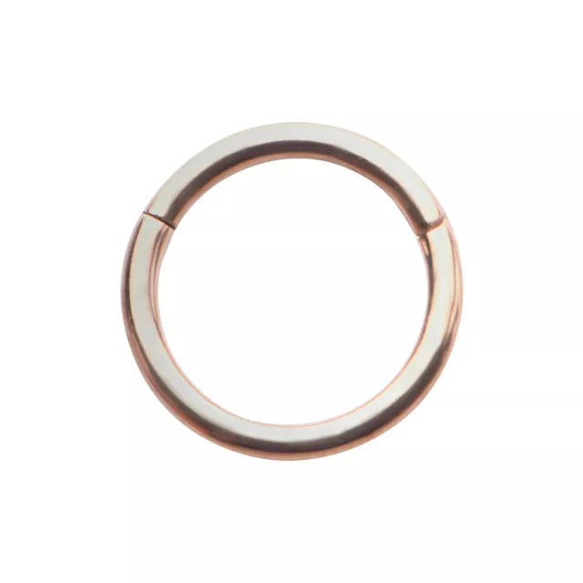 Rose Goldplated Seamless Ring - 16 Gauge at Spencer's