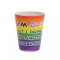 I'm Gay But I Drink My Shots Straight Pride Shot Glass - 1.5 oz. at Spencer's