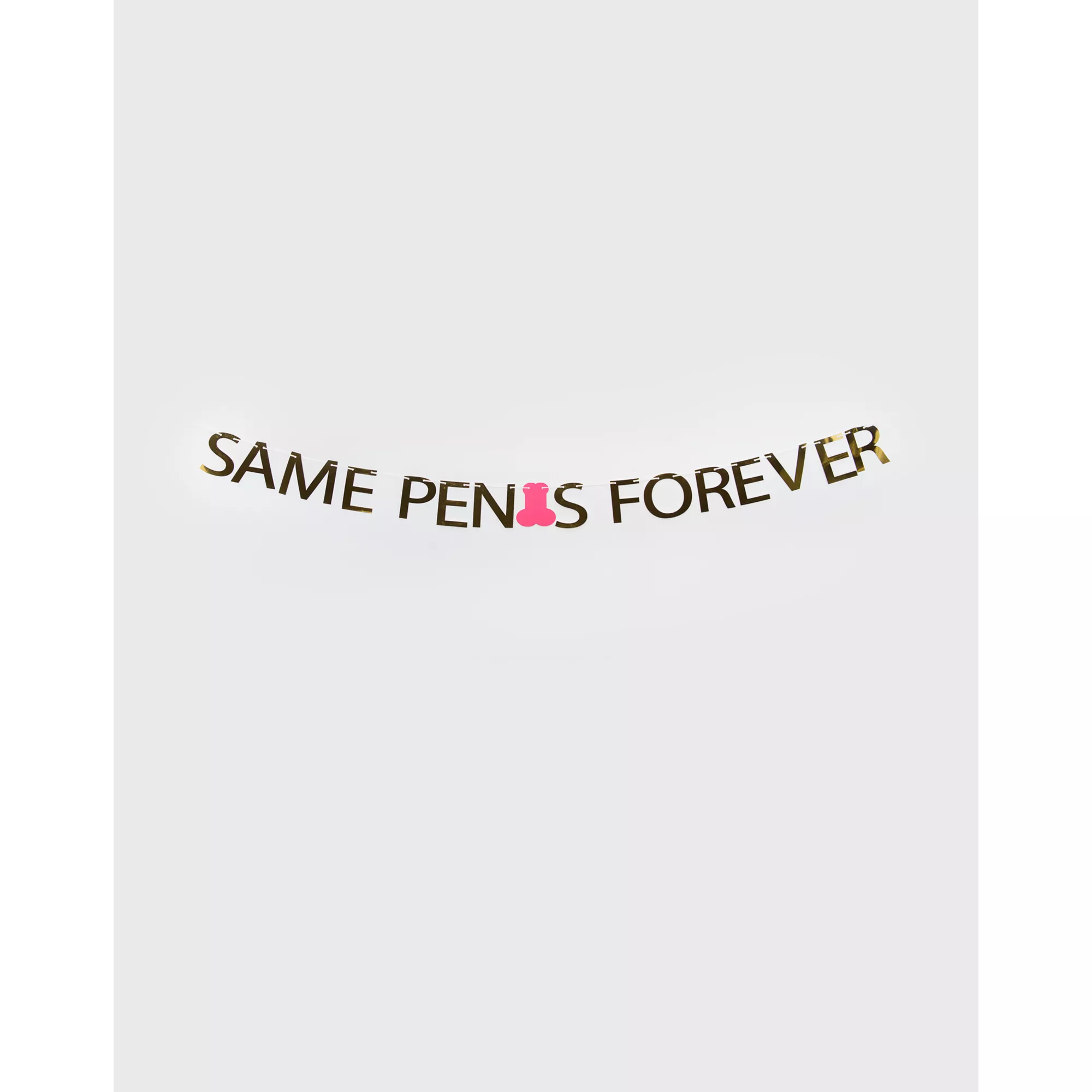Same Penis Forever Banner at Spencer's