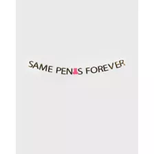 Same Penis Forever Banner at Spencer's