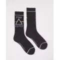 Pink Floyd Crew Socks at Spencer's