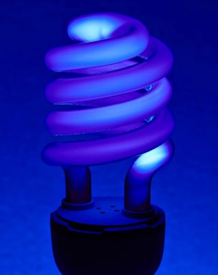 Black Lights