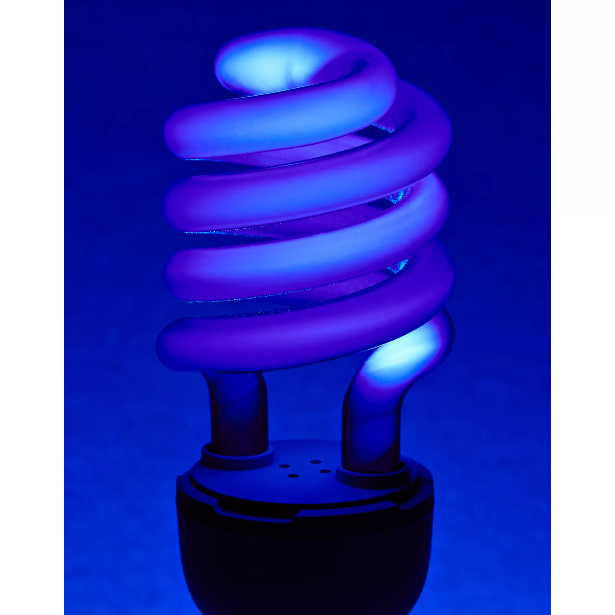 Black Light 22 Watt CFL Bulb at Spencer's