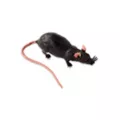 Fake Sewer Rat at Spencer's