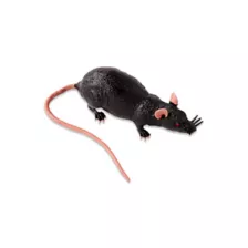 Fake Sewer Rat at Spencer's