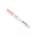 Fake Pregnancy Test at Spencer's