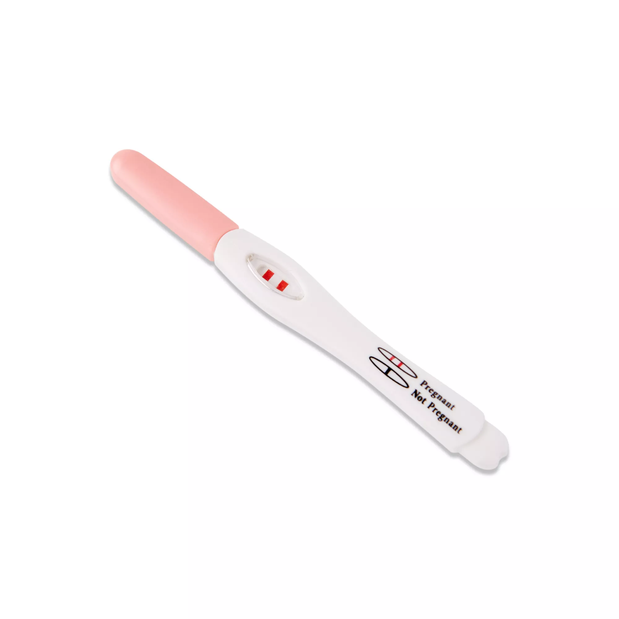 Fake Pregnancy Test at Spencer's